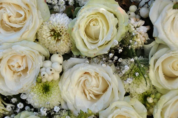 Weiße Rosen — Stockfoto