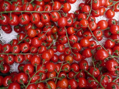 Rote Cherrytomaten formatfüllend