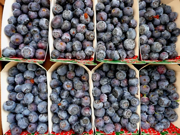 Blueberries — Stockfoto
