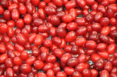 Red cherries - cornus mas clipart