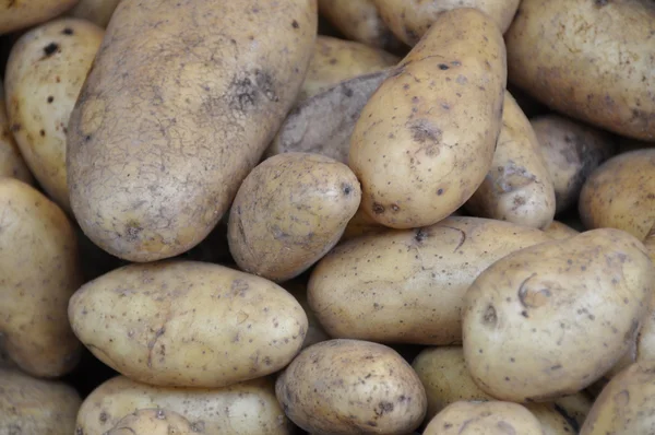 stock image Potatoes