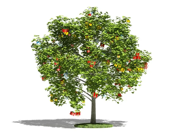 Träd med gåvor — Stockfoto