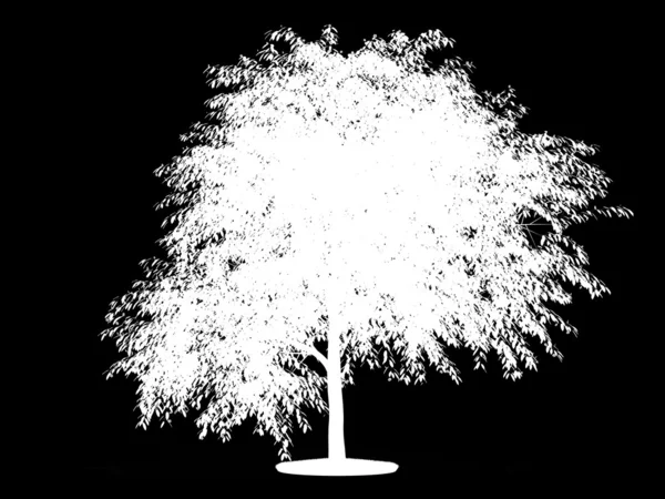 Kanał Alfa Rozkwitł Wiśniowe Drzewo — Zdjęcie stockowe
