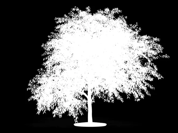 Kanał Alfa Wiśniowe Drzewo — Zdjęcie stockowe