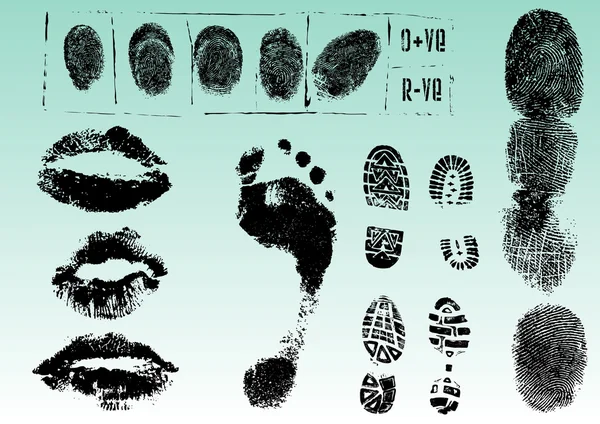 Fingerprint Footprints Lips Very Accurately Scanned Traced Vectors Transparent Can — Stock Vector