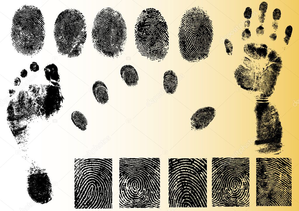 Vector Fingerprint Elements