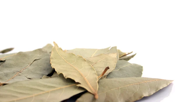 Μπαχαρικό - φύλλα δάφνης σε κοντινό πλάνο — Φωτογραφία Αρχείου