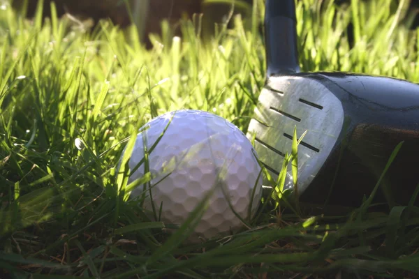 Şoför Sert Alçak Açılı Bir Atışla Golf Topuna Vurmak Üzere — Stok fotoğraf