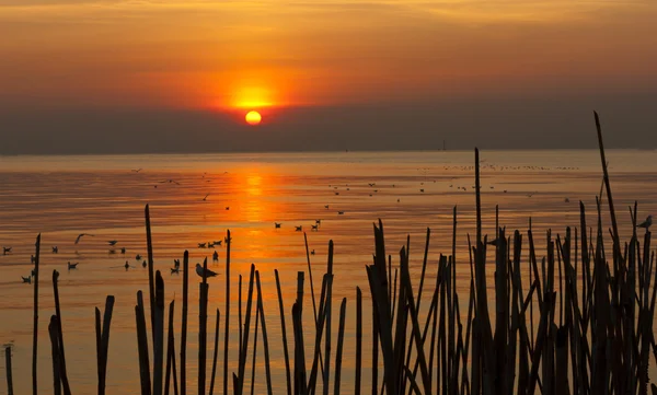 stock image Sunset resort in Bang Pu, Samut Prakan Province, Thailand