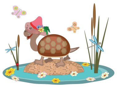 şapkayla turtle, vektör