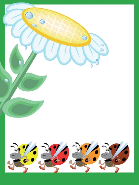 Bacgound Λουλούδι Και Ladybugs — Φωτογραφία Αρχείου
