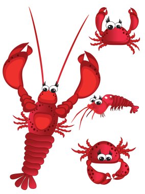 Shrimp clipart