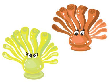 Anemones clipart