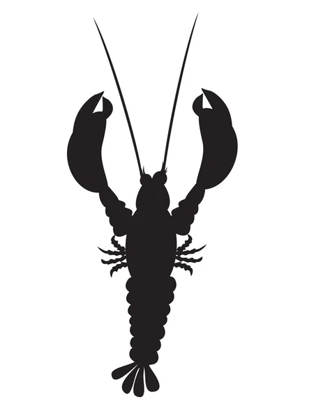 Lobster - Stok Vektor