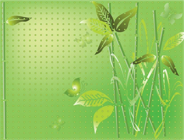 Bamboe groene achtergrond — Stockfoto