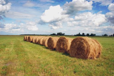 Straw bales clipart