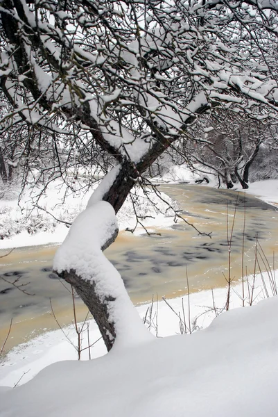हिवाळी नदी — स्टॉक फोटो, इमेज