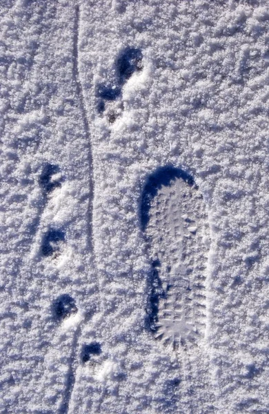 Spår på snö — Stockfoto