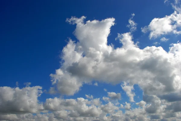 Sommaren cumulus — Stockfoto