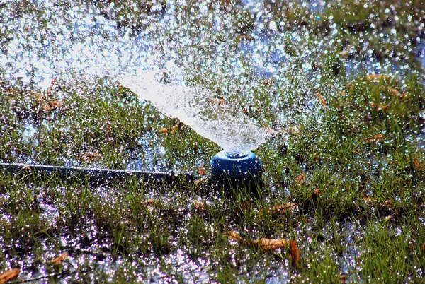 Gotas artificiais de chuva — Fotografia de Stock