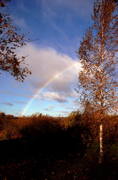 Höstens rainbow — Stockfoto