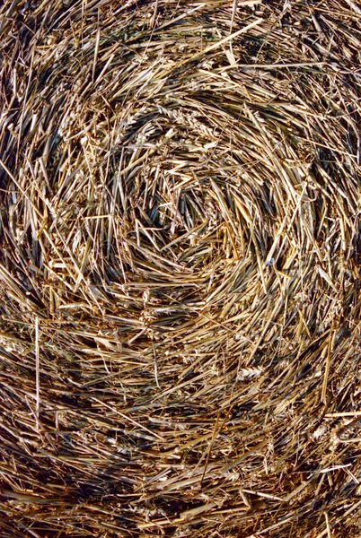 Close-up of straw bales — Stock Photo, Image