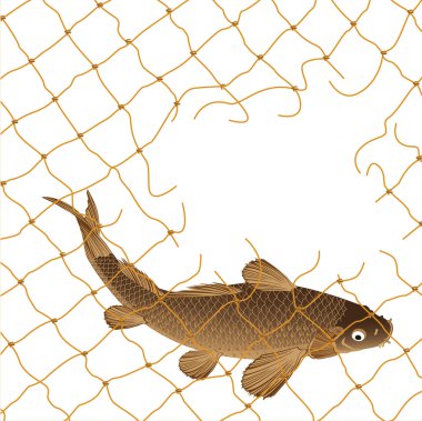 Carp and nets clipart