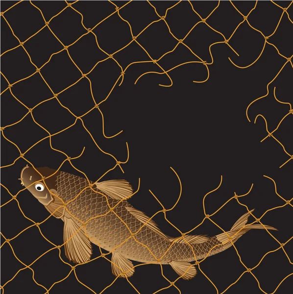 鲤鱼捕捞网 — 图库矢量图片