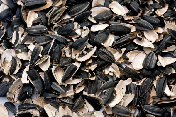 stock image Sunflower seeds