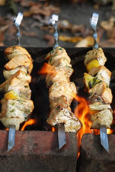 Kebabs Salmão Com Vegetais Floresta — Fotografia de Stock