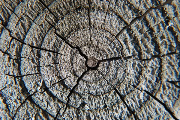 古い木のウッド テクスチャをクローズ アップ — ストック写真