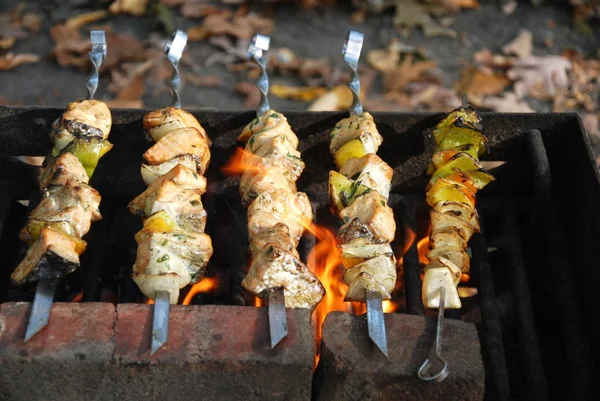 Losos Barbecue Kebab Parku — Stock fotografie