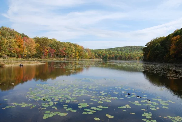 Krásná Krajina Jezeře Podzim — Stock fotografie