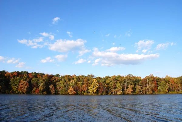 Krásná Krajina Jezeře Podzim — Stock fotografie