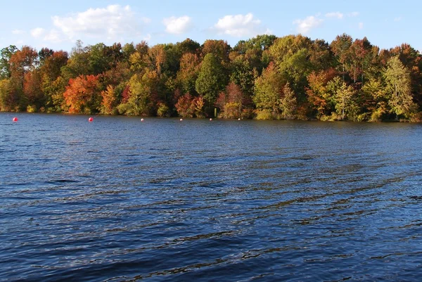 Красиві Пейзажі Озері Восени — стокове фото