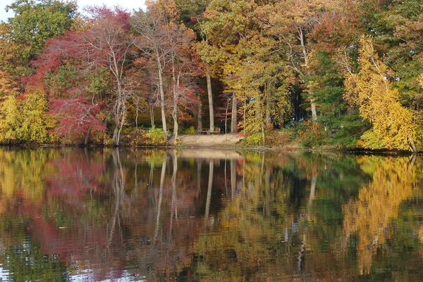 Göl Sonbahar Ağacı — Stok fotoğraf