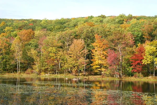 Jeziora jesienią — Zdjęcie stockowe