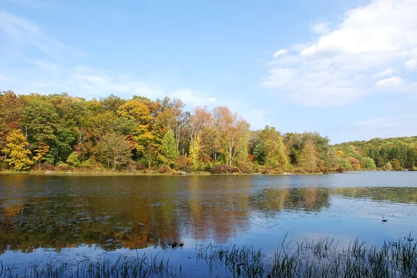 stock image Lake in autumn
