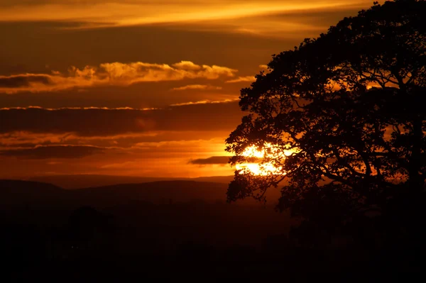 Pôr do sol — Fotografia de Stock