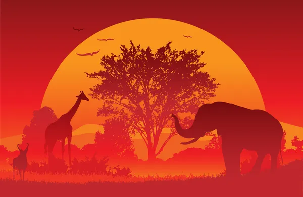 Safari africain — Image vectorielle