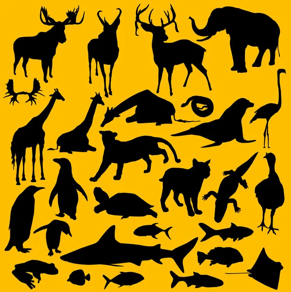 Dzikie zwierzęta — Wektor stockowy