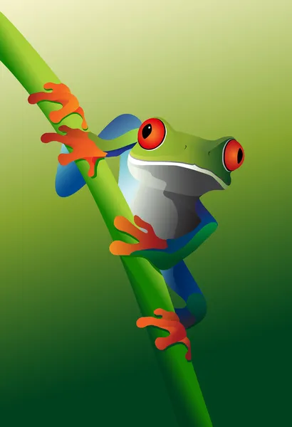 Žába s červenýma očima — Stockový vektor