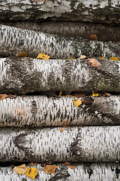 Pile de bois de chauffage — Photo