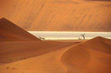 kurumuş ağaçlar ve Afrika çöl dunes