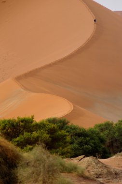 Afrika çöl dunes üzerinde yürüyen adam