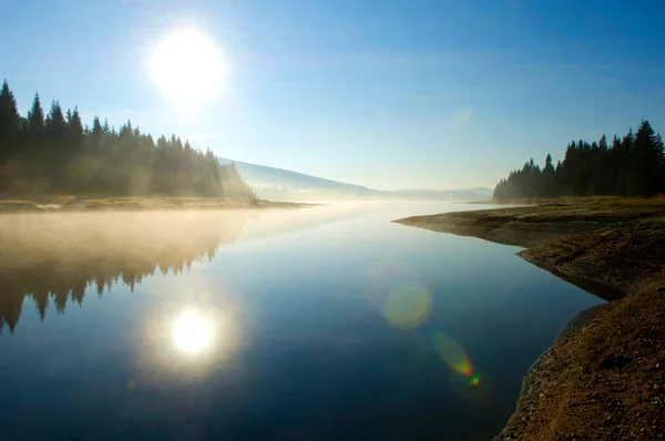 stock image Lake in Deep Forest