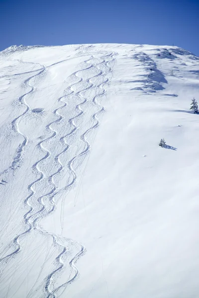 Lyžařské stopy ve sněhu Stock Obrázky