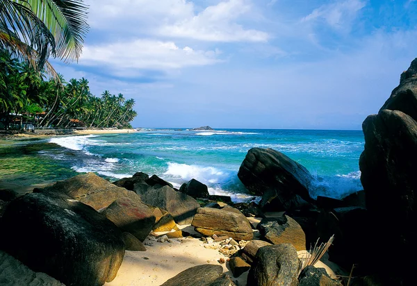 Pláž na Srí Lance Royalty Free Stock Fotografie