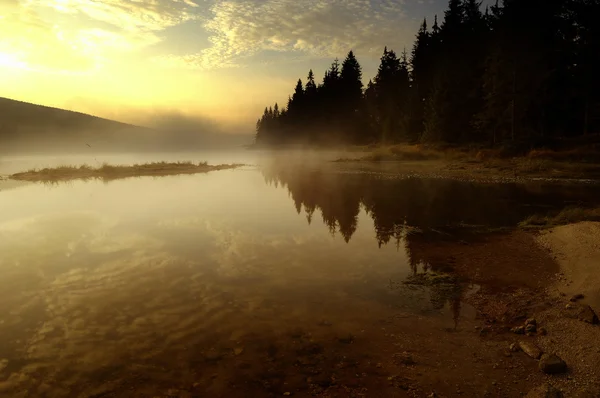 深い森の湖 ストック写真