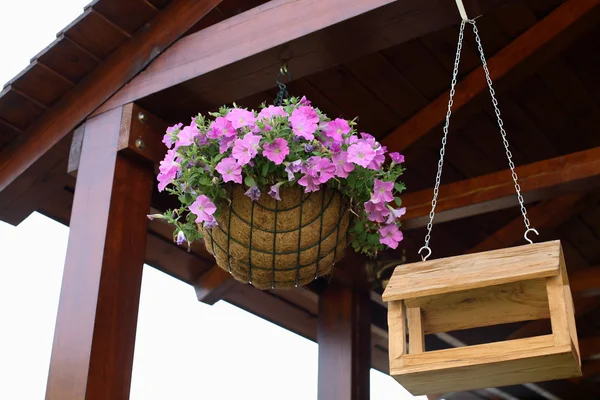 stock image Basket with flower